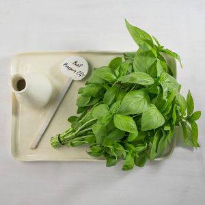 Basil Genesis Seeds Ltd